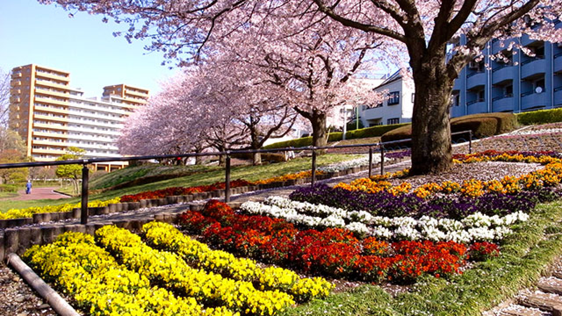 Kanigasawa Park