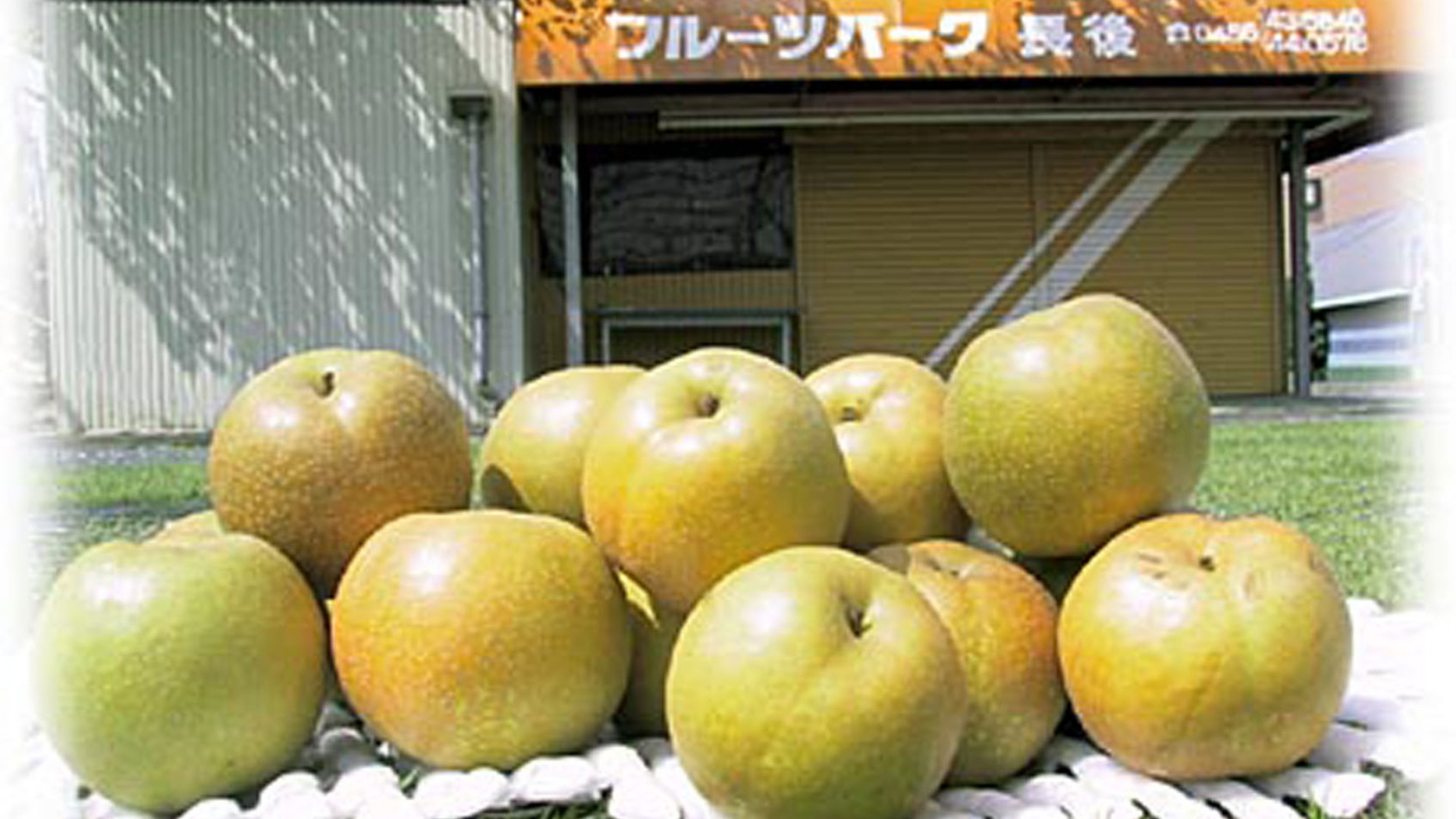 Chogo Fruit Park