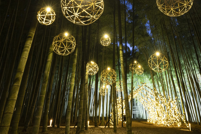 Wakayama Farm – Bamboo Winter Lights