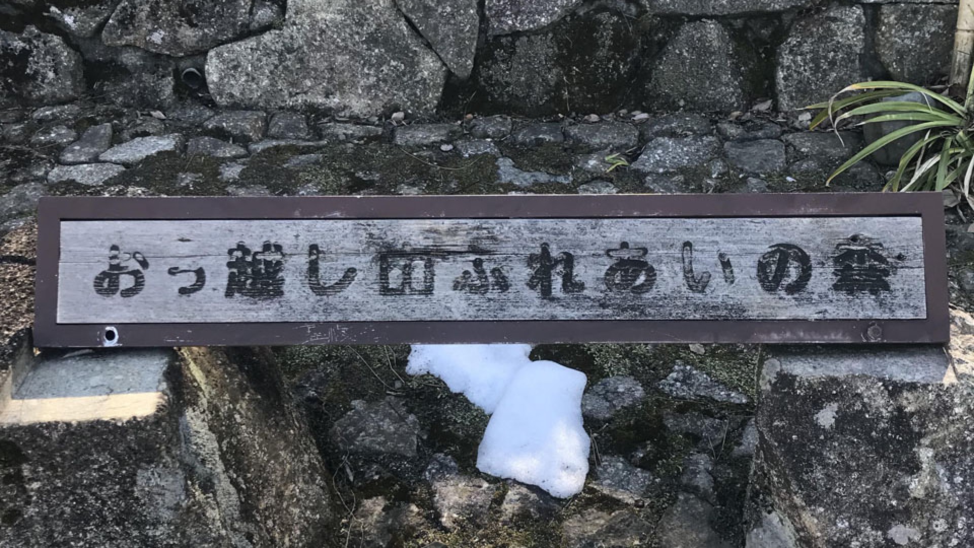 Okkoshiyama Fureai-no-Mori