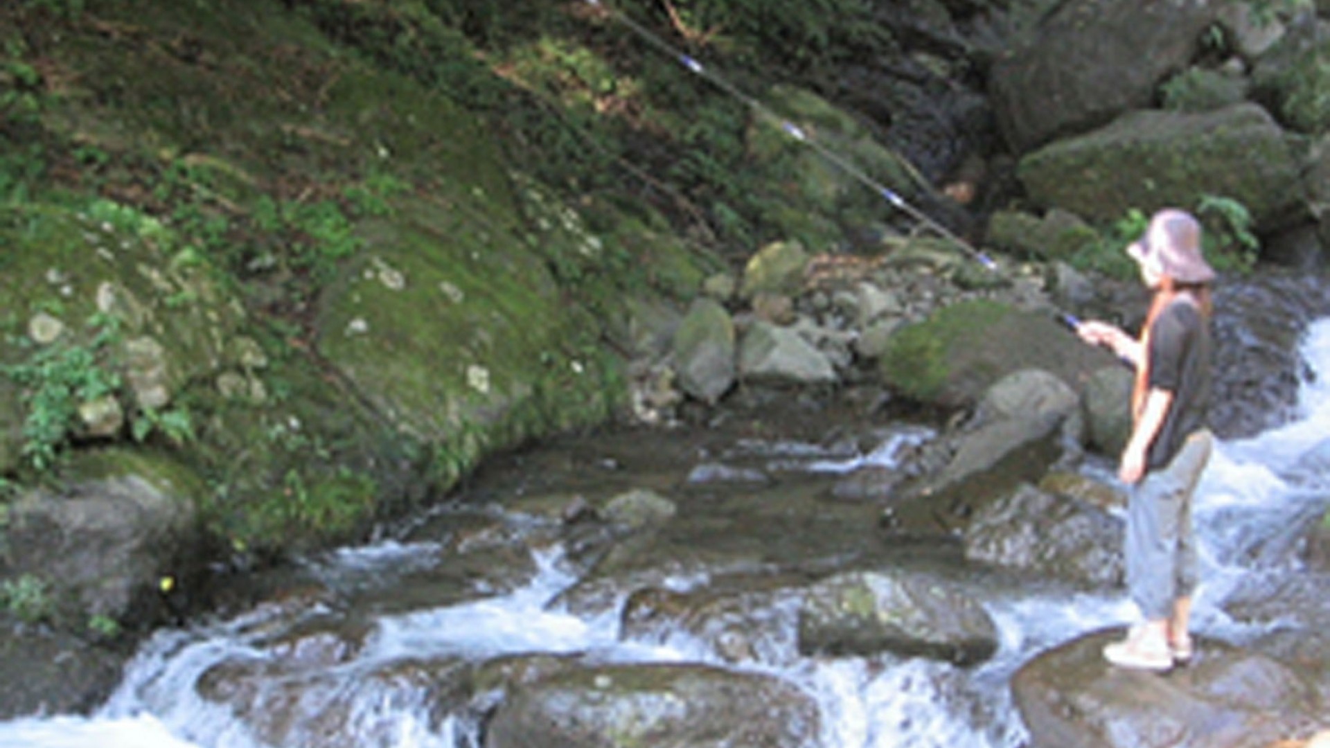 Hinata Keikoku Trout Fishing, Trout fishing experience・Trout grabbing experience・BBQ