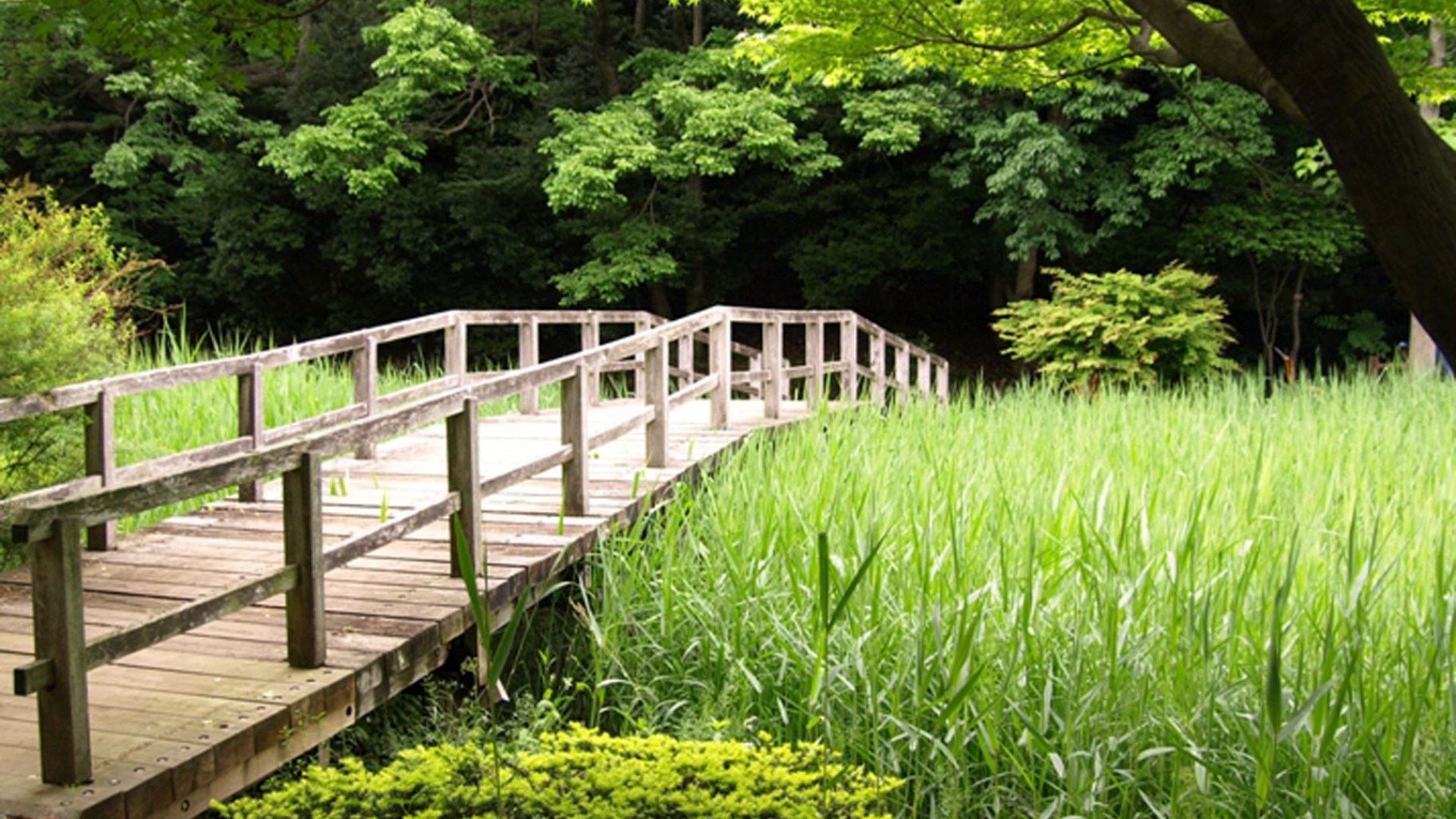 Dohogawa Park