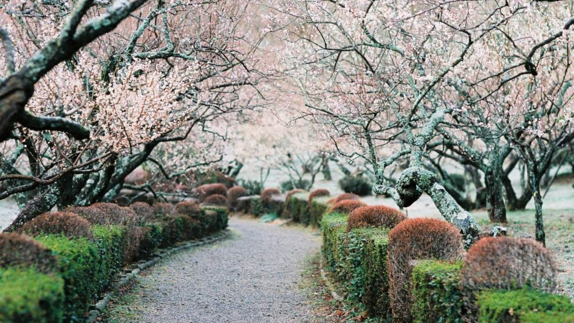 Tsujimura Botanical Park