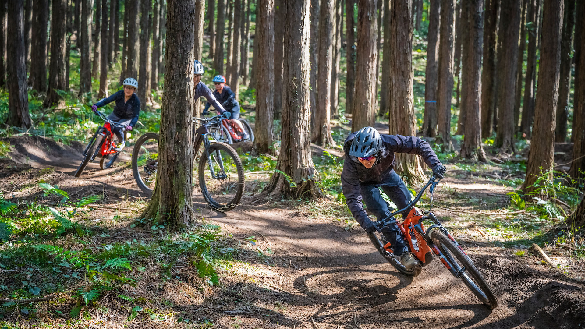 Forest Bike