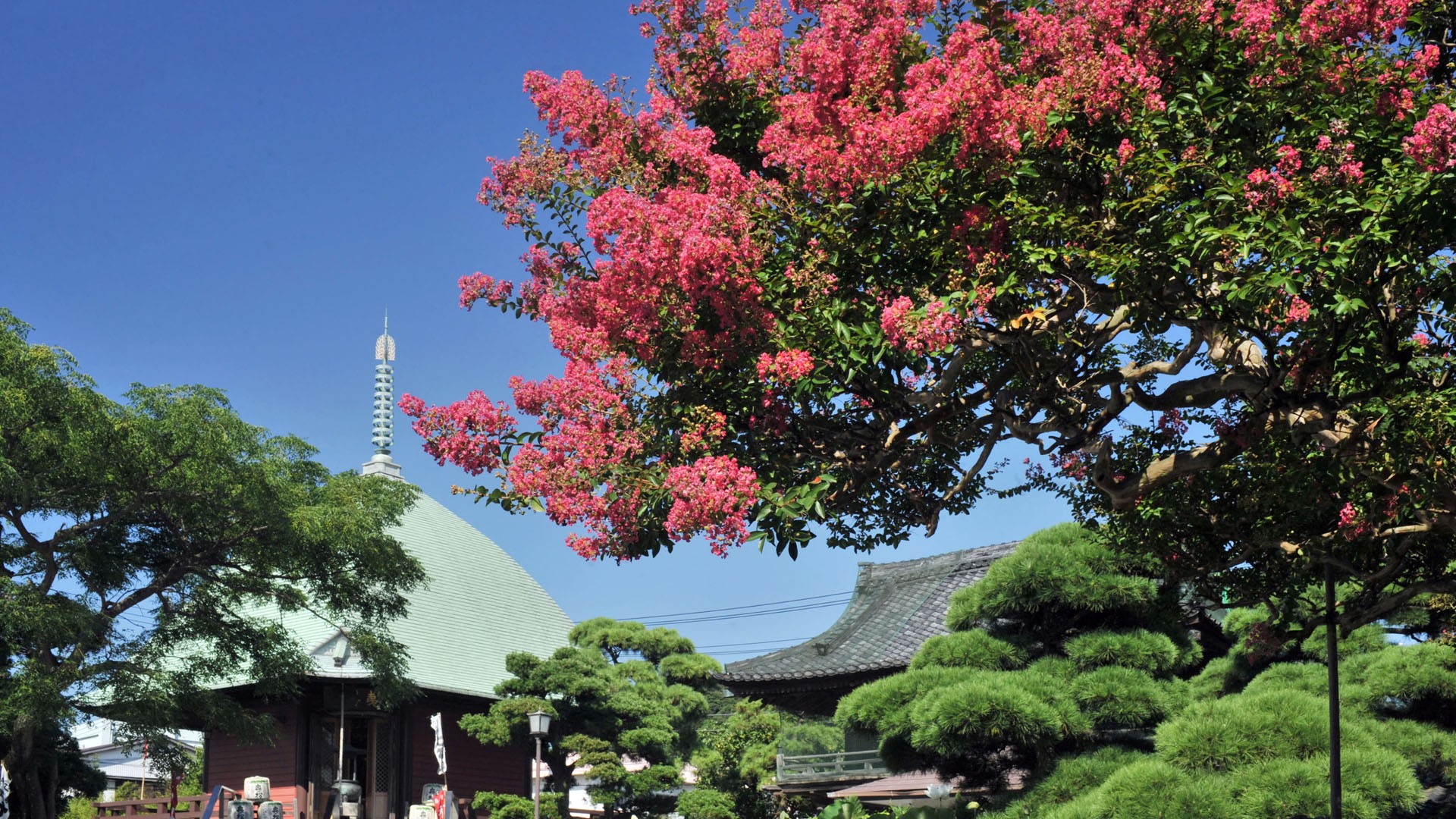 Hongaku-ji temple