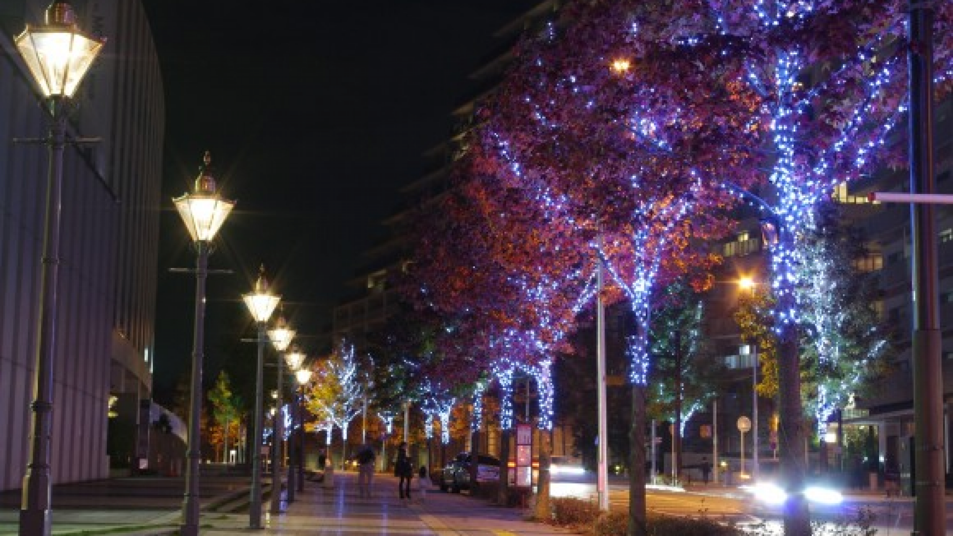 Shinyurigaoka Illumination Kirara @ Art Shinyuri