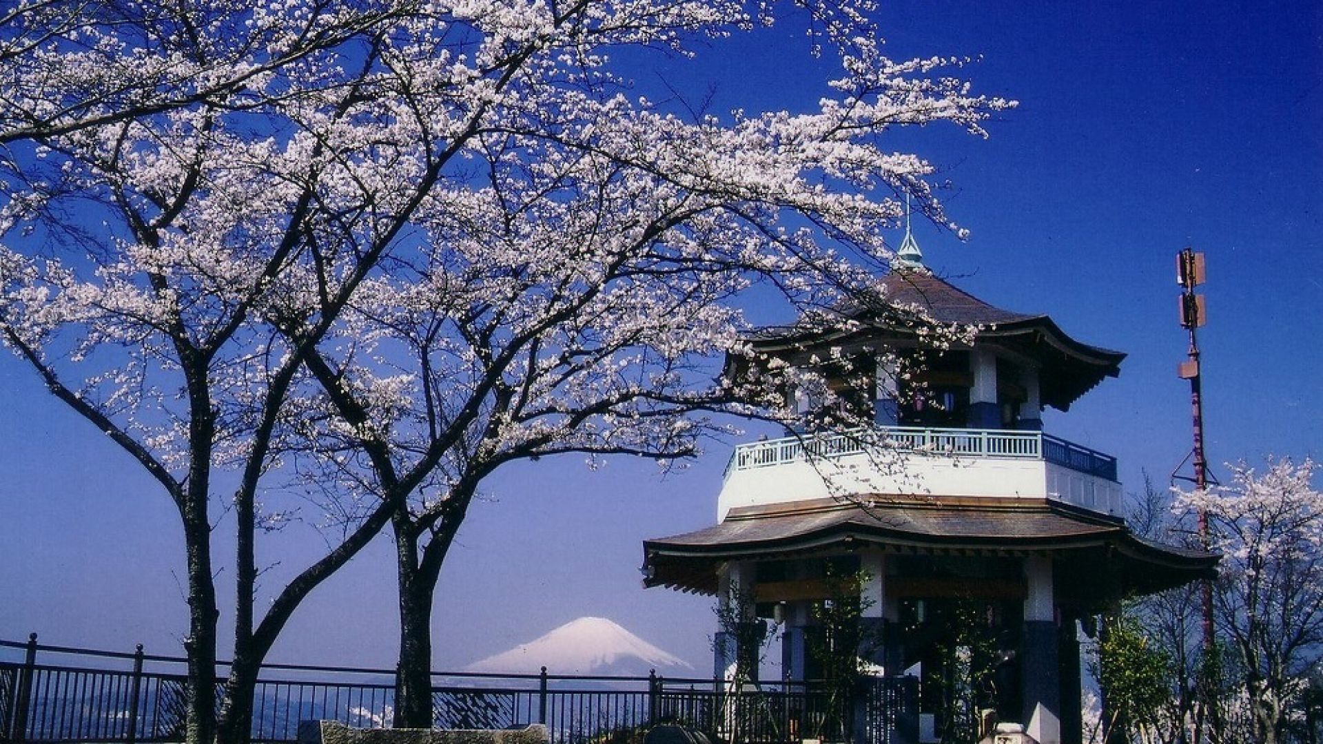 Koboyama Park