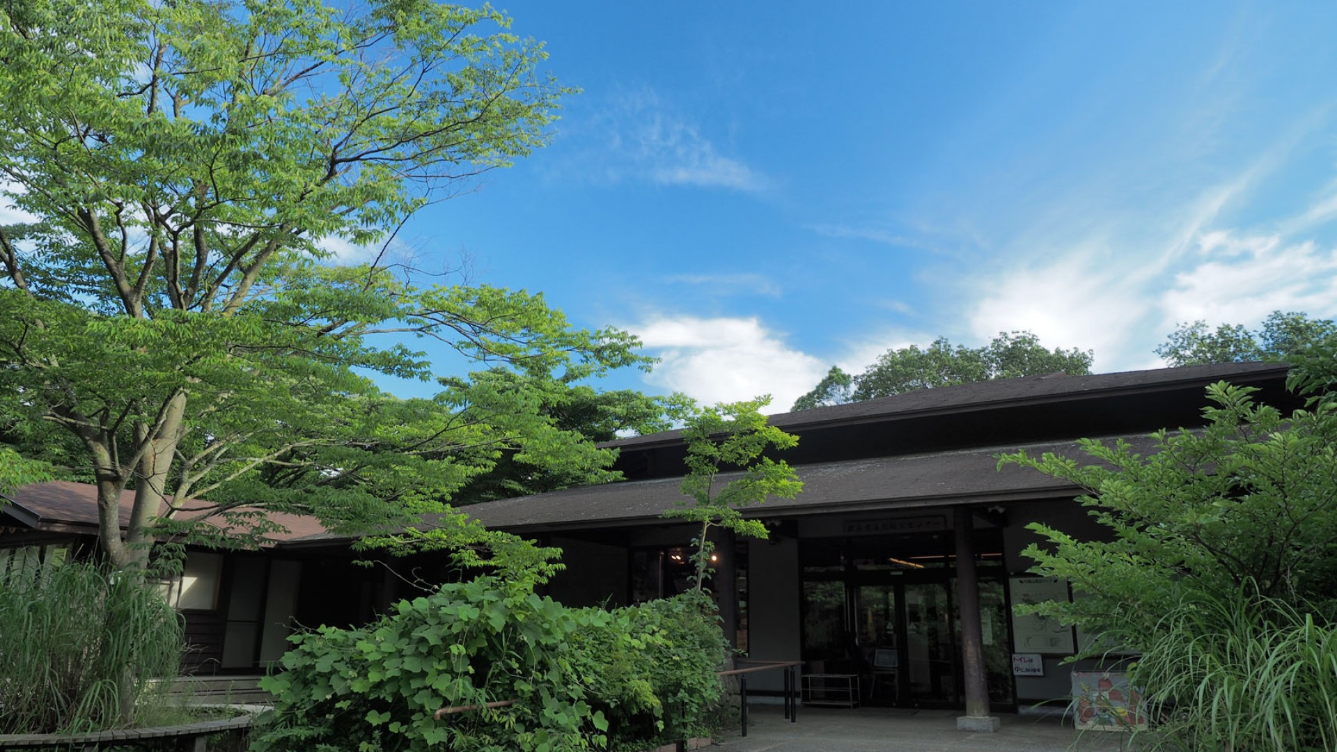 Yokohama Nature Observation Forest
