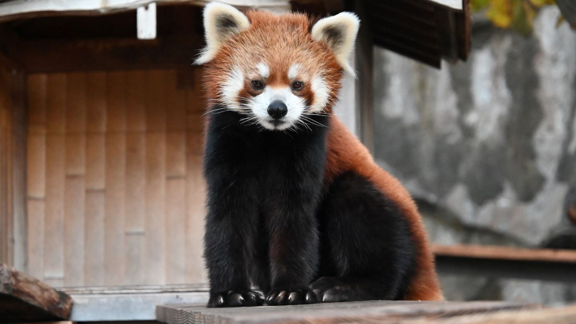Nogeyama Zoological Gardens
