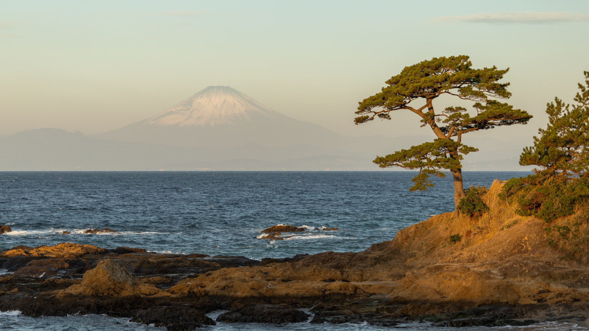 Tateishi Park – Bonten no Hana