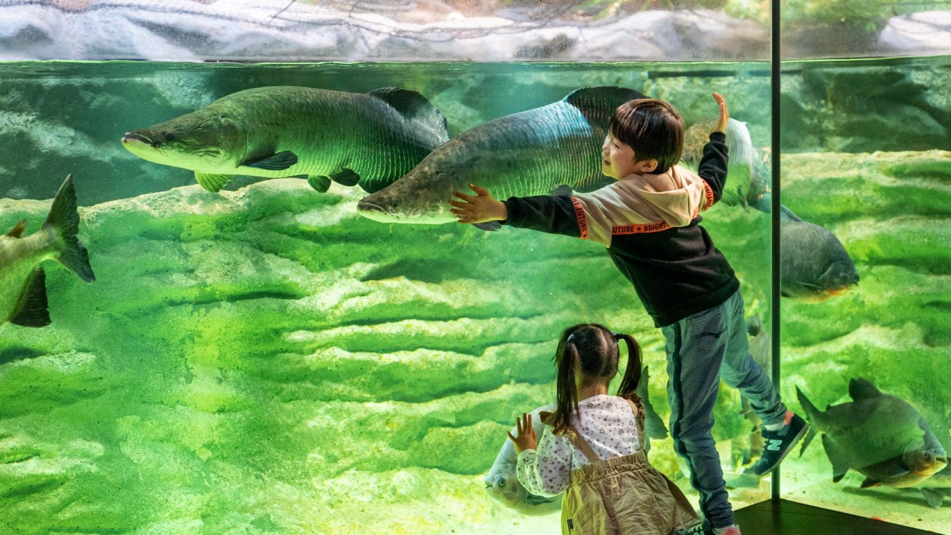 Kawasui Kawasaki Aquarium