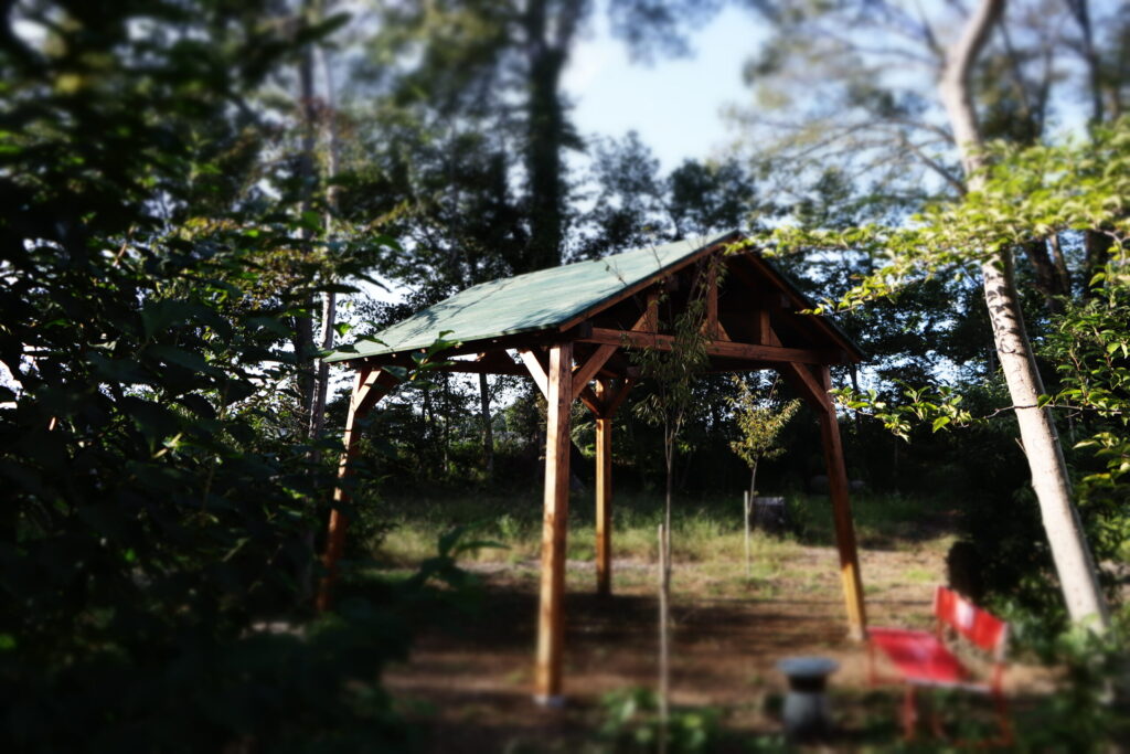 Preserving the family forest