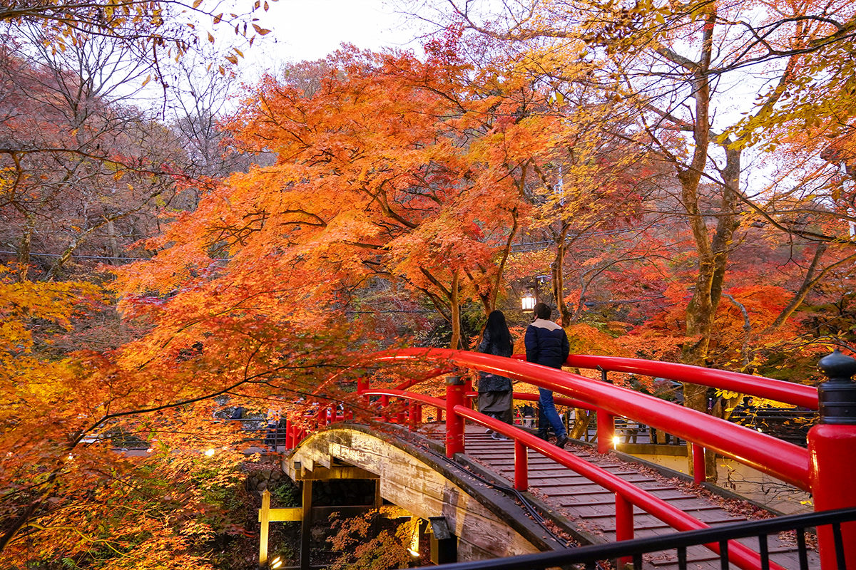 Kajika Bridge