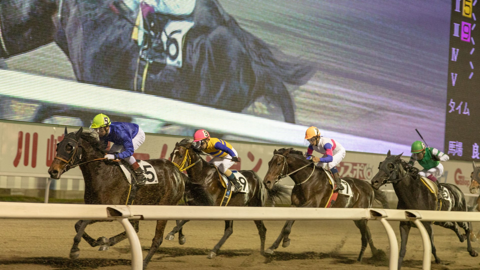 Kawasaki Racecourse (Watch races)