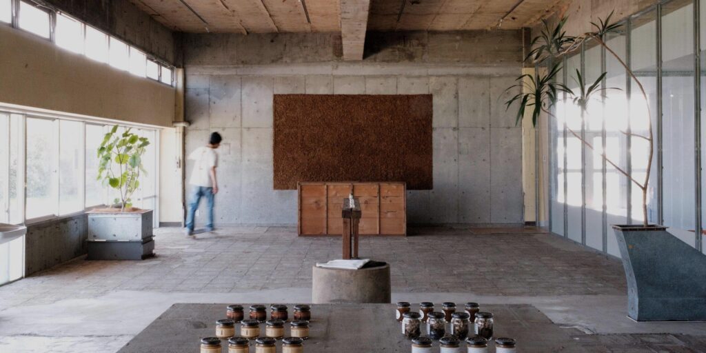 Access to Happy Nuts Day