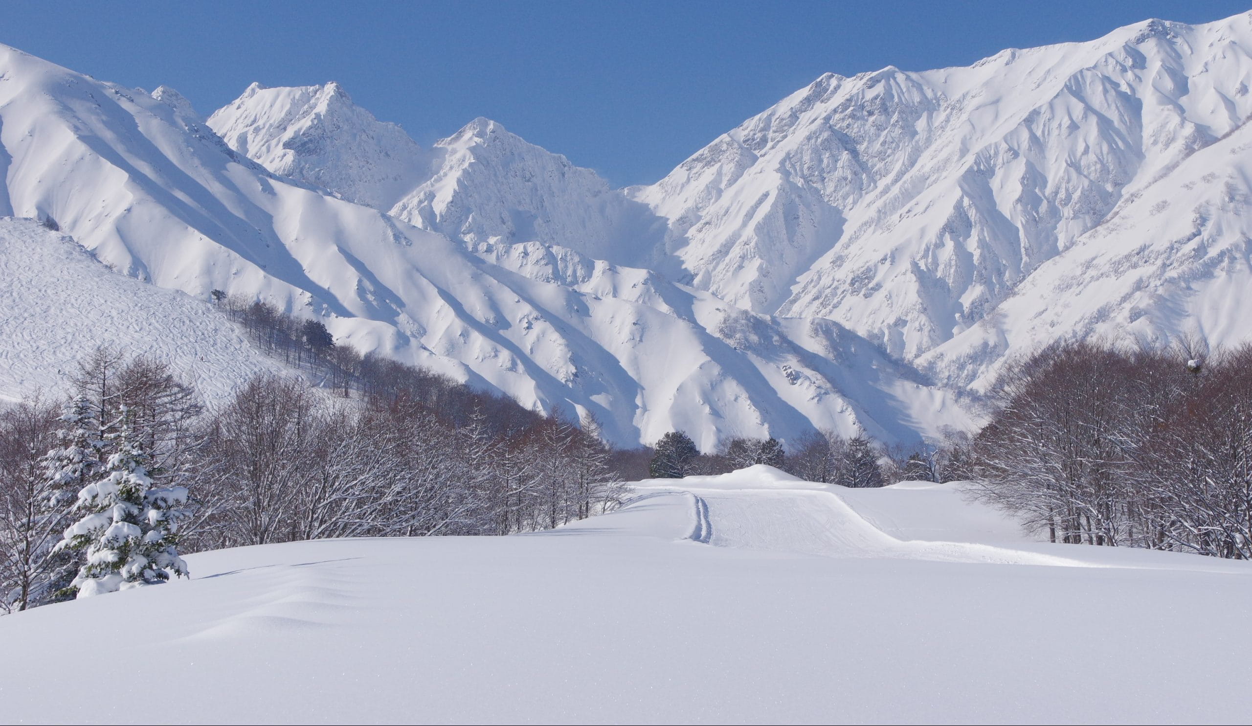 Hakuba Happo-One