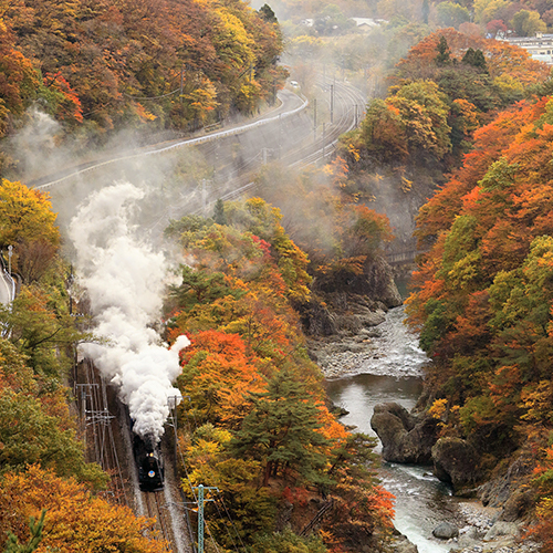 Four Seasons of Color in Suwakyo Gorge