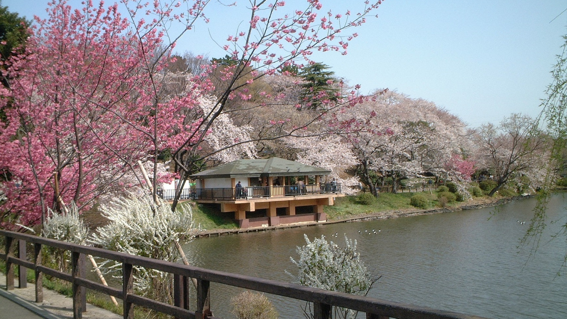 Mitsuike Park