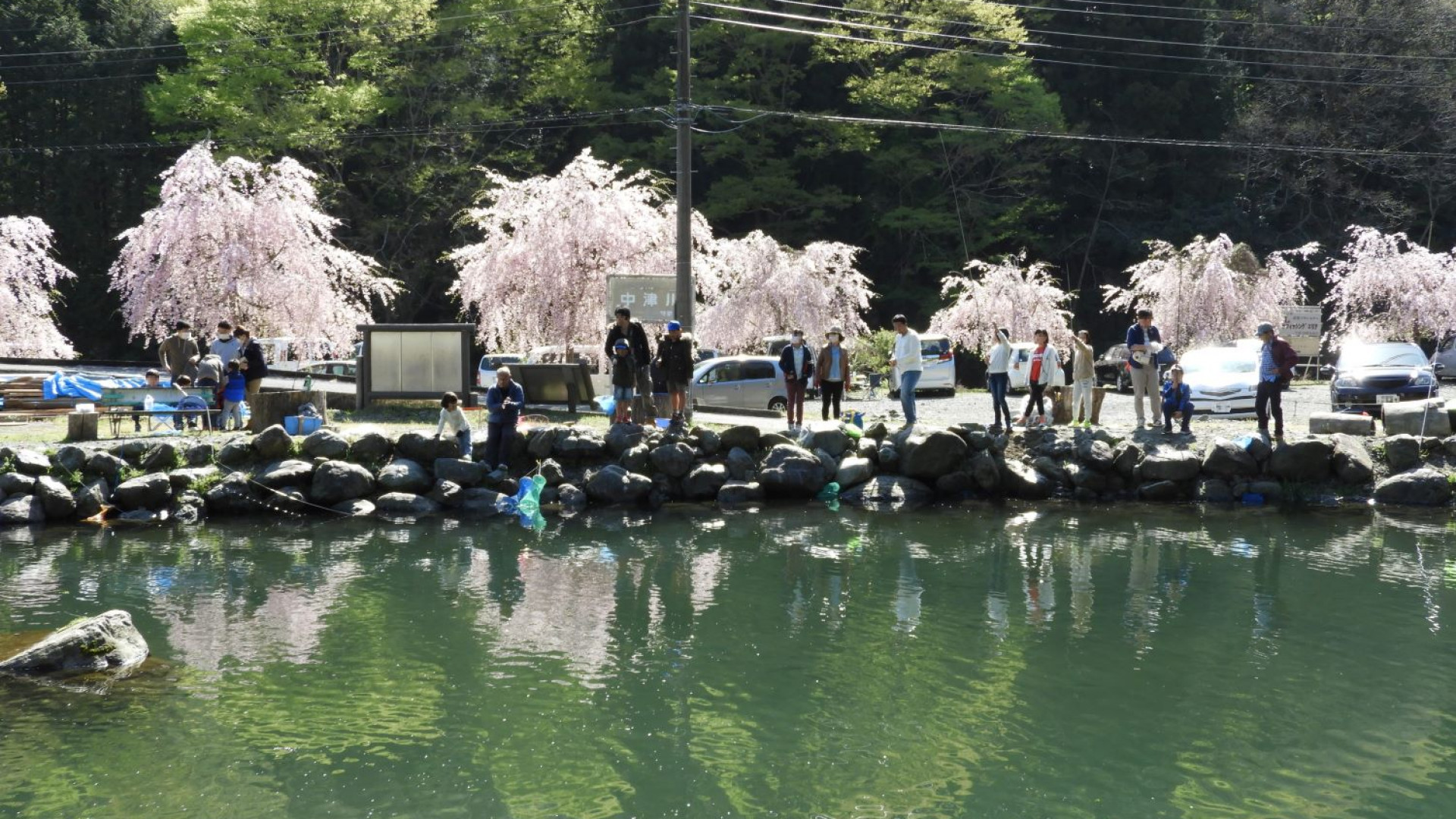 Yadoriki Seiryu Trout Fishing