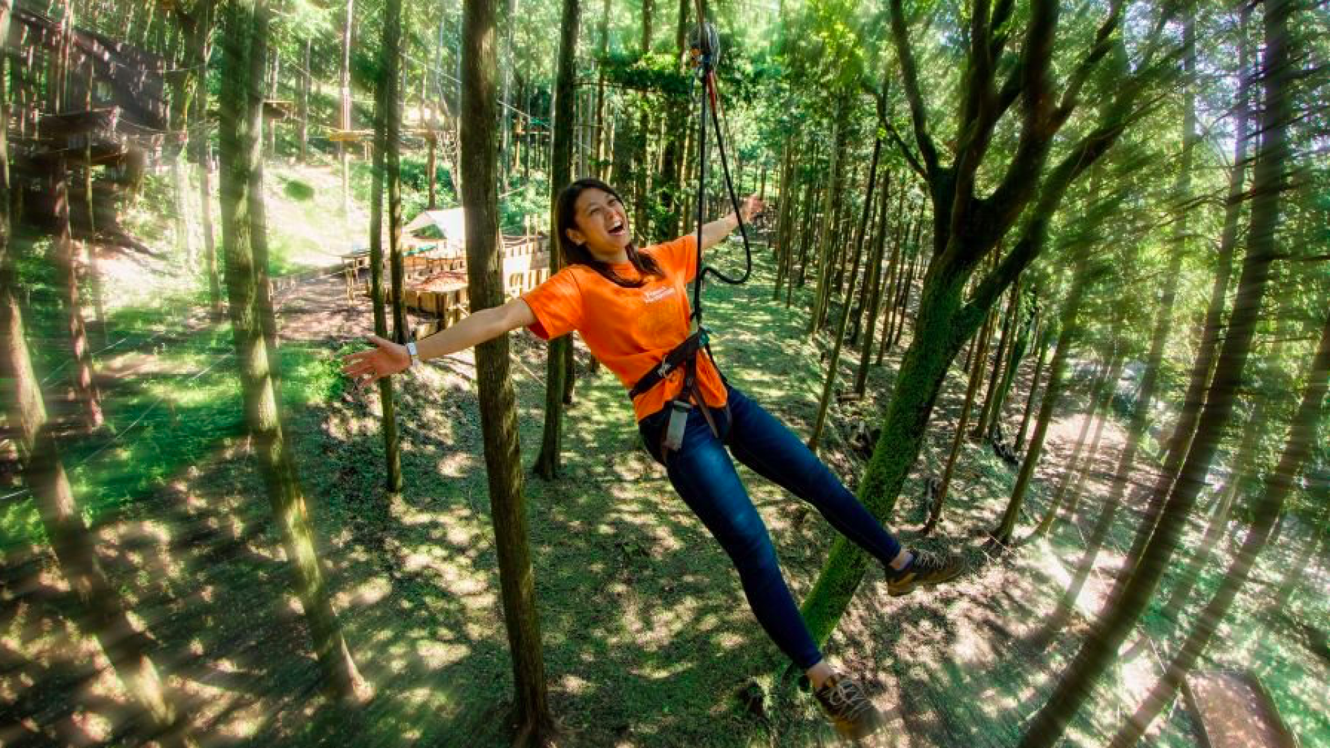 Forest Adventure Hakone