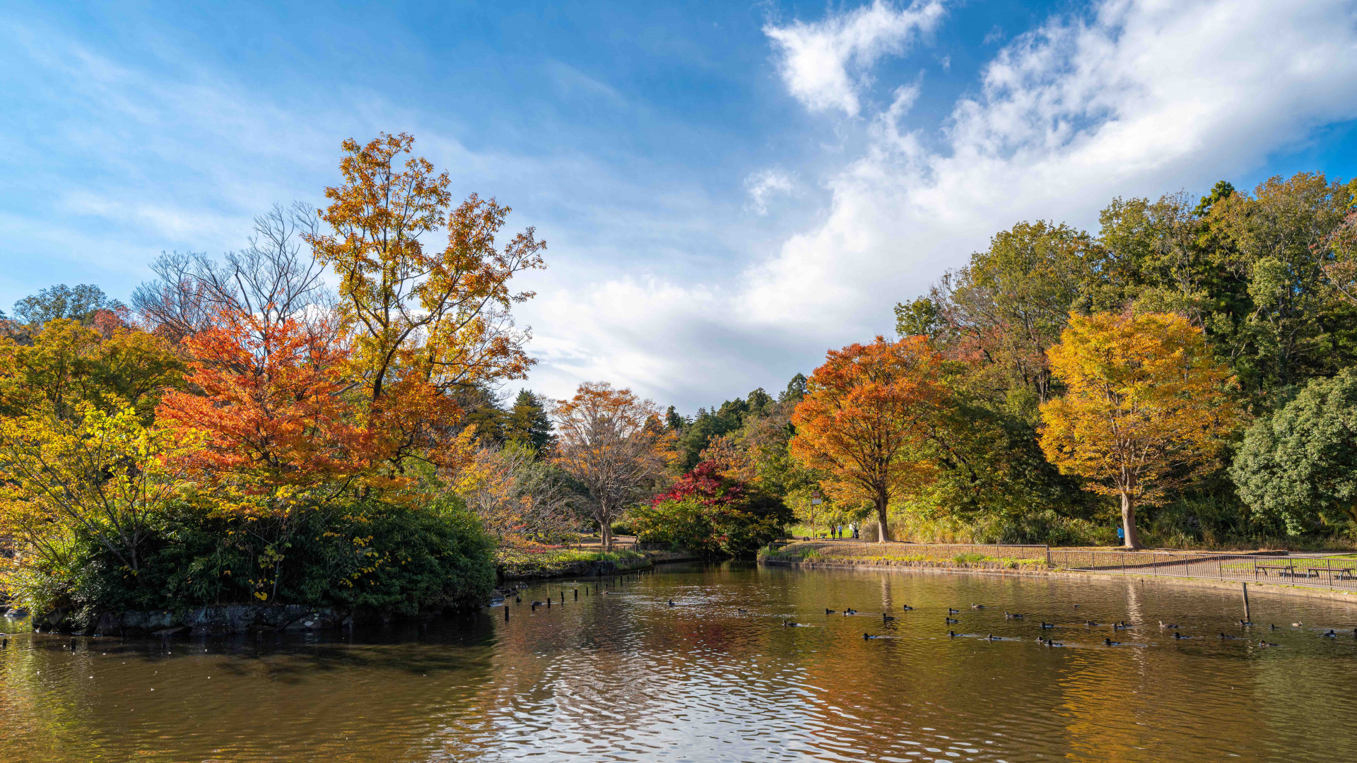 Children’s Nature Park (Oike Park)