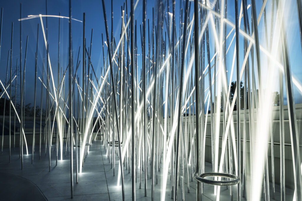 An Oasis of Activities by the Lake