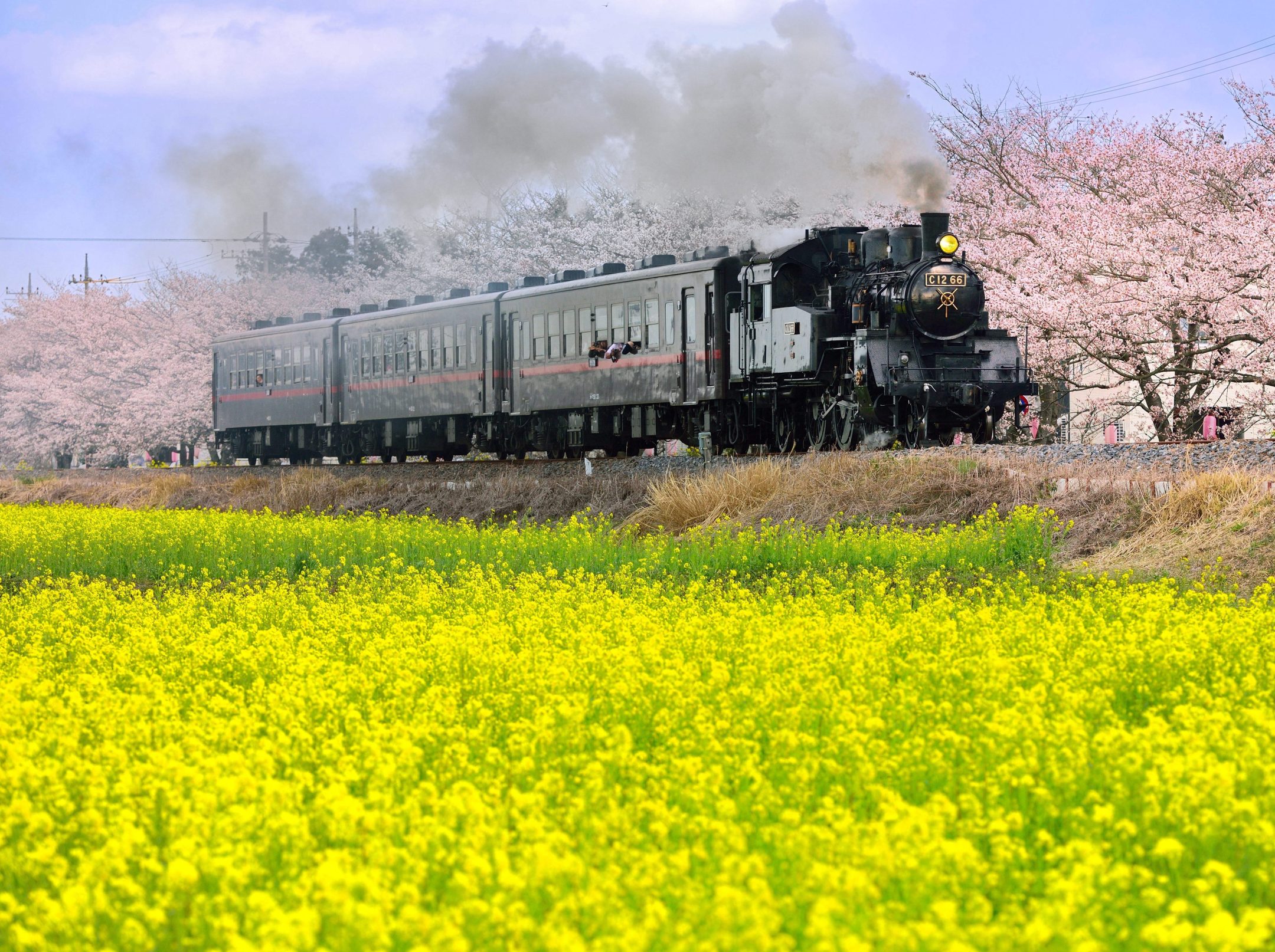 Steam Locomotives in Mooka