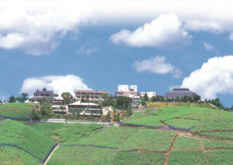 Katsunuma – Budo  no oka (Grape hill)