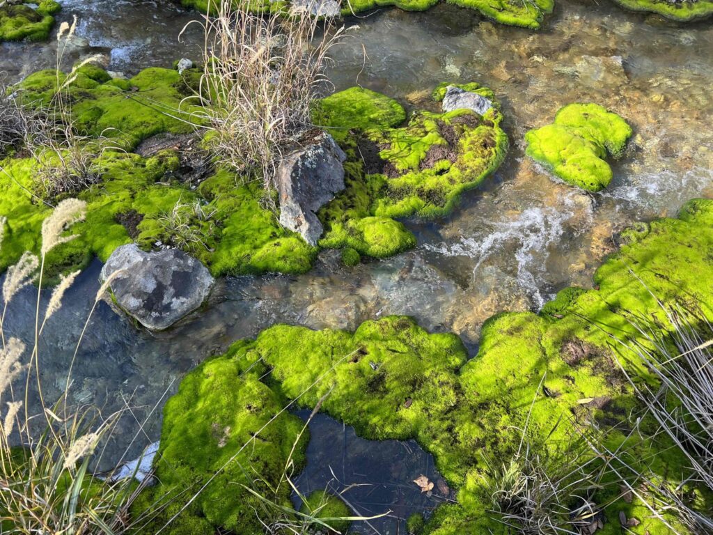 An Internationally Recognized Natural Site