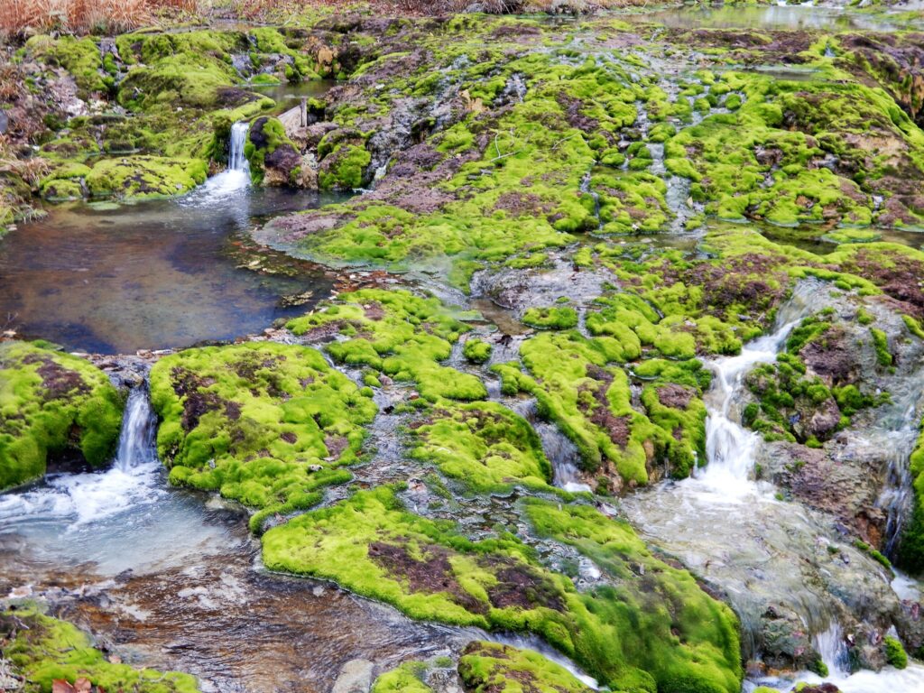 Access to Chatsubomigoke Park