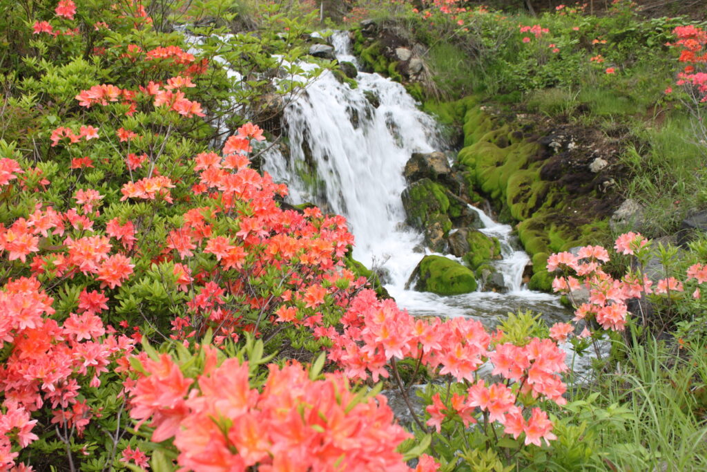 A Four-Season Destination