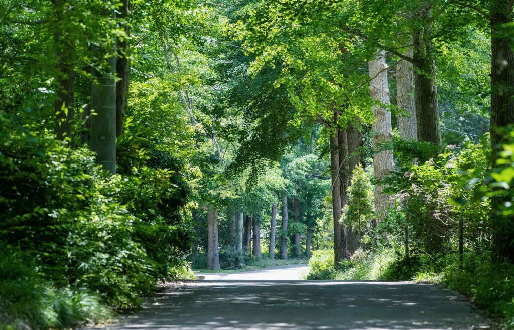 Chiba’s Premier Spa Resort