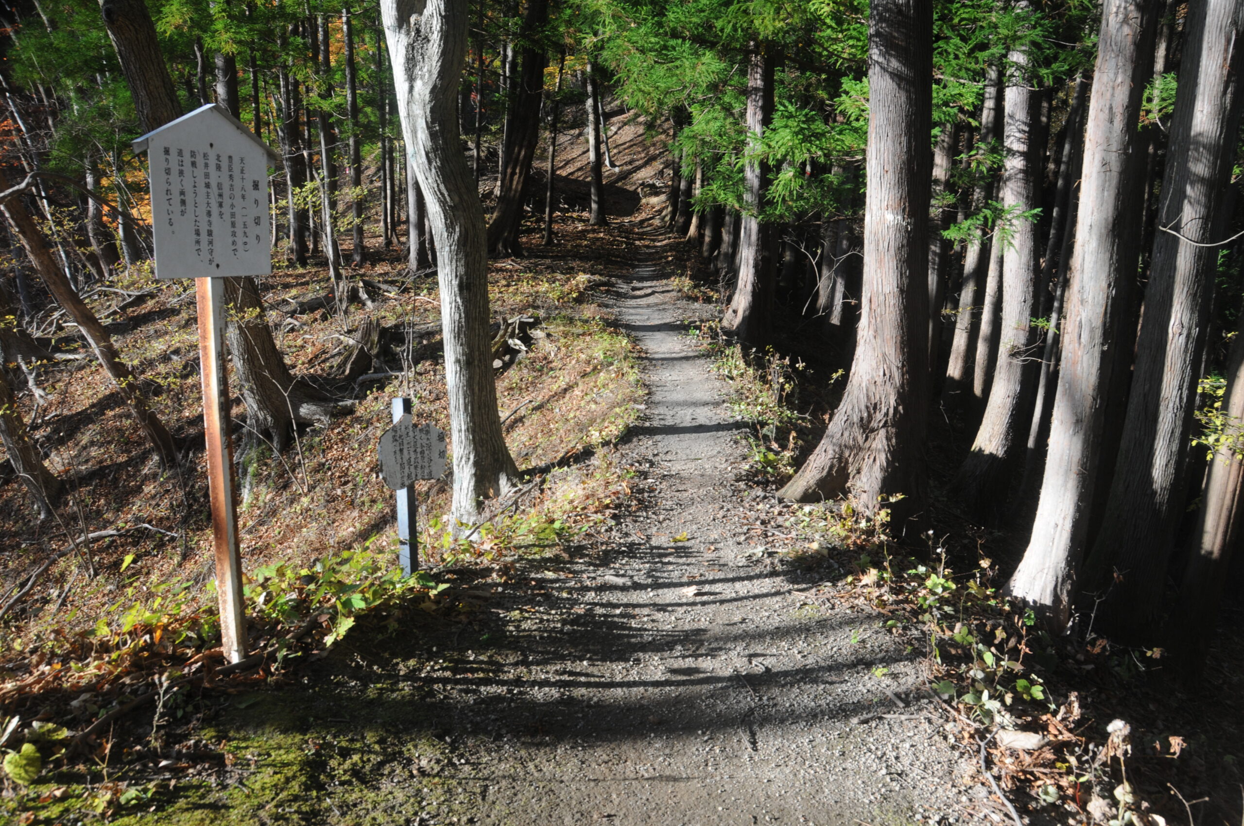 Journey Along the Nakasendo