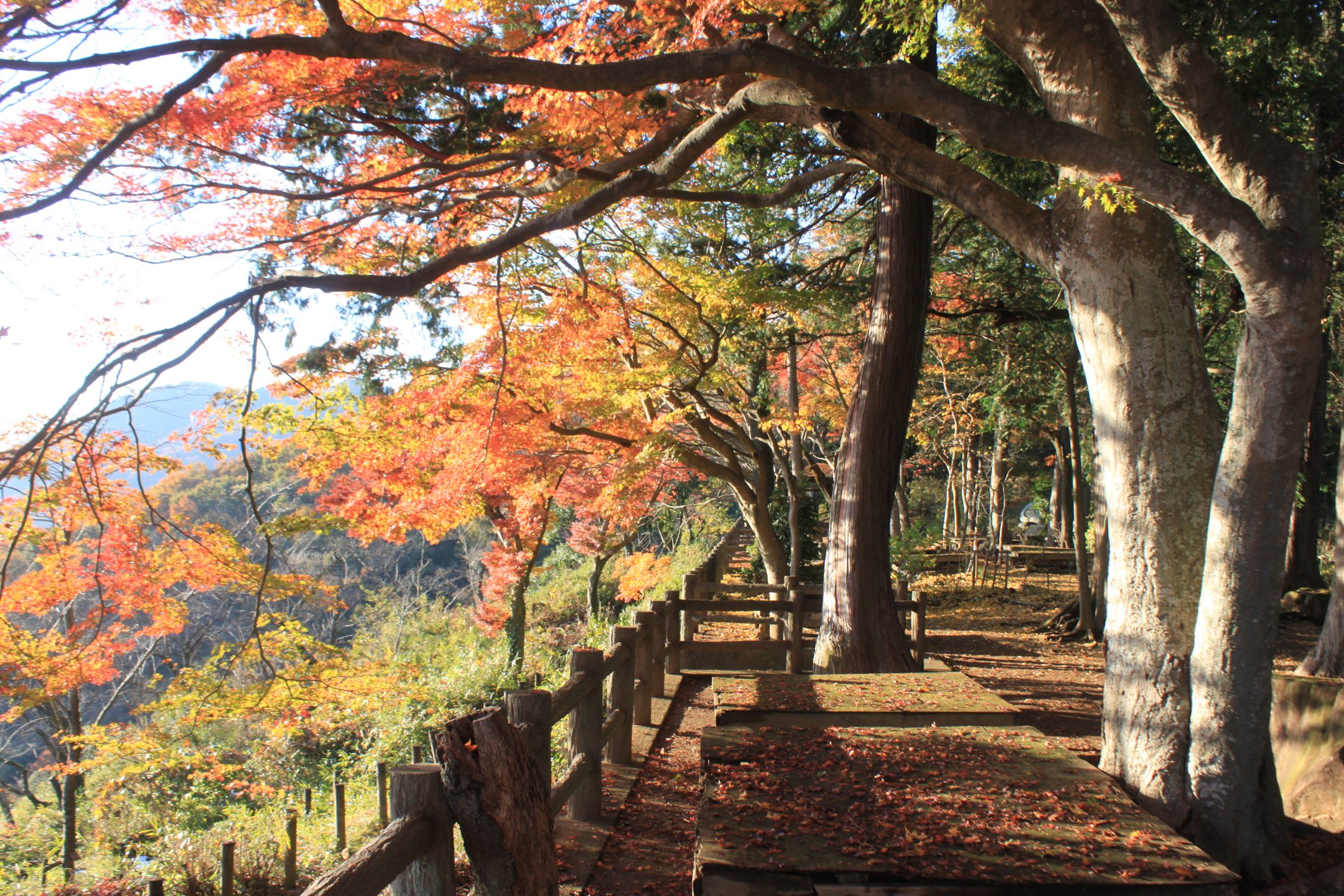 Mt. Ohira