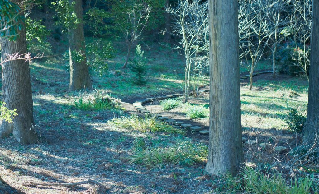 An immersive sake brewery experience