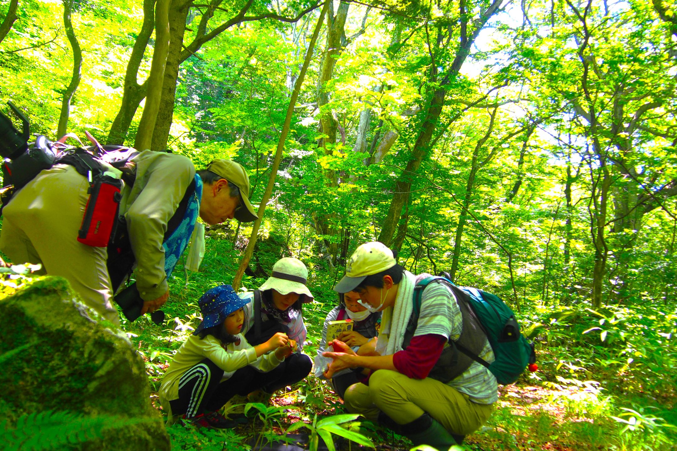 Nasu Heisei-no-Mori Forest