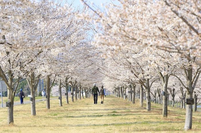 Ujiie Yuuyuu Park