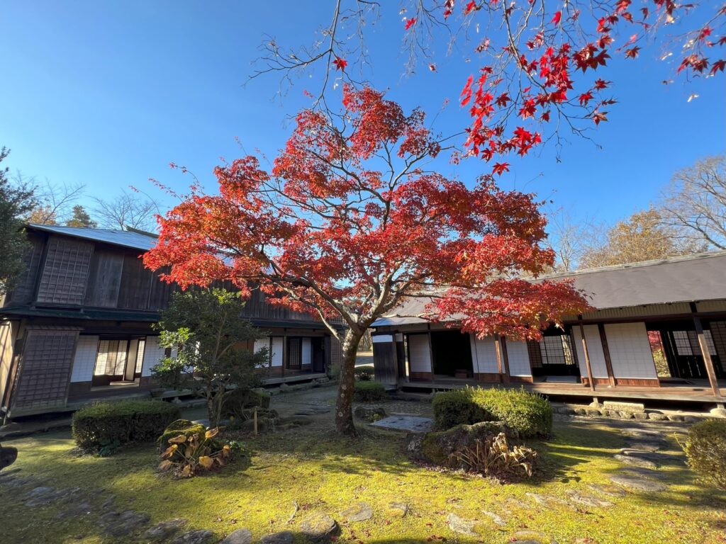 A Trip to the Past Through a Large Park