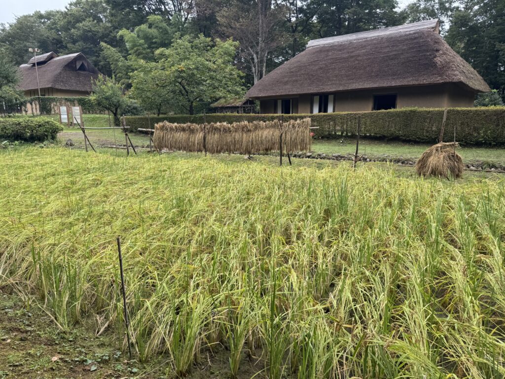 Preserving Important Elements of Fukushima’s Past