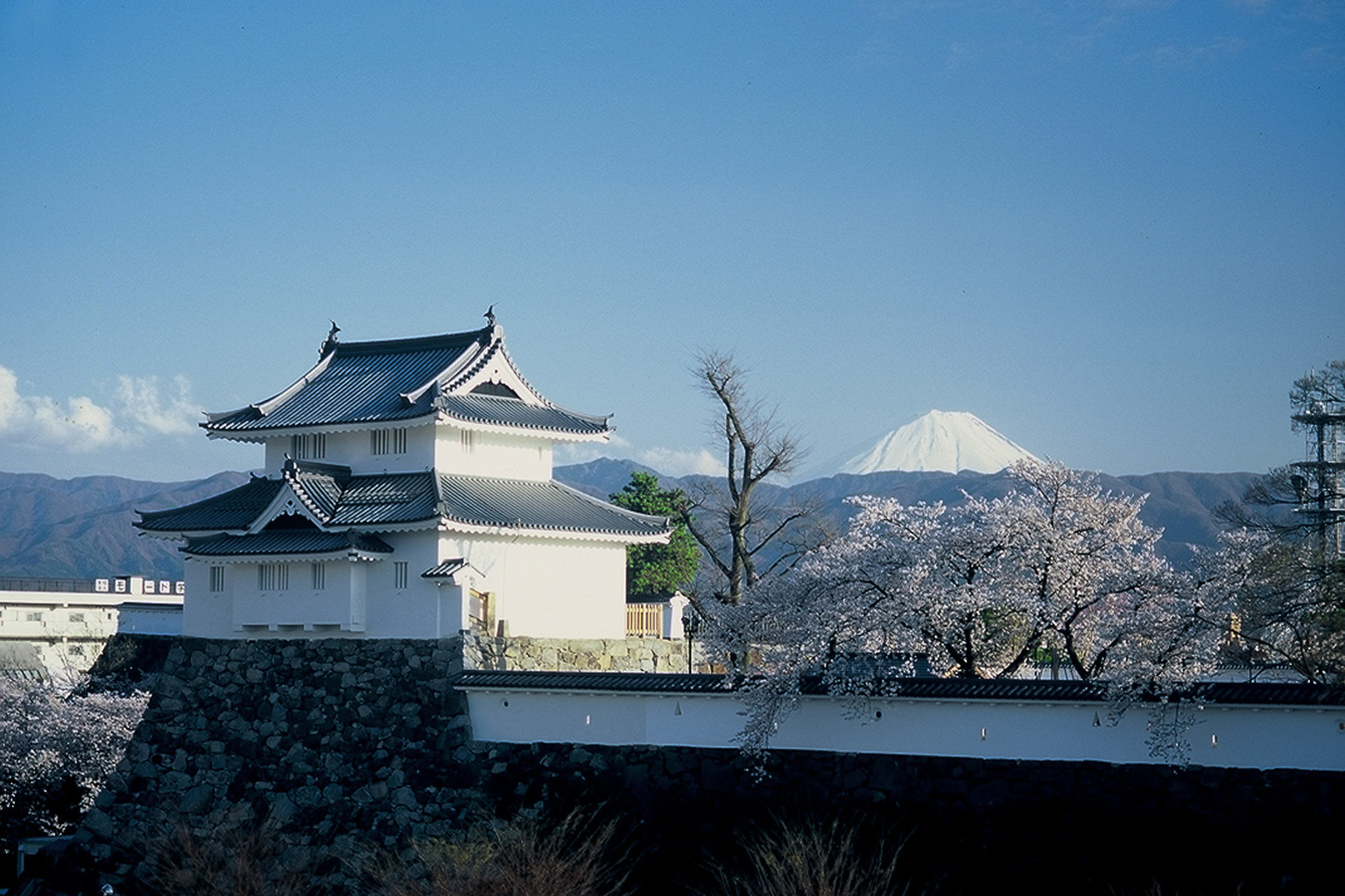 Kofu Castle Ruins (Maizuru Castle Park)