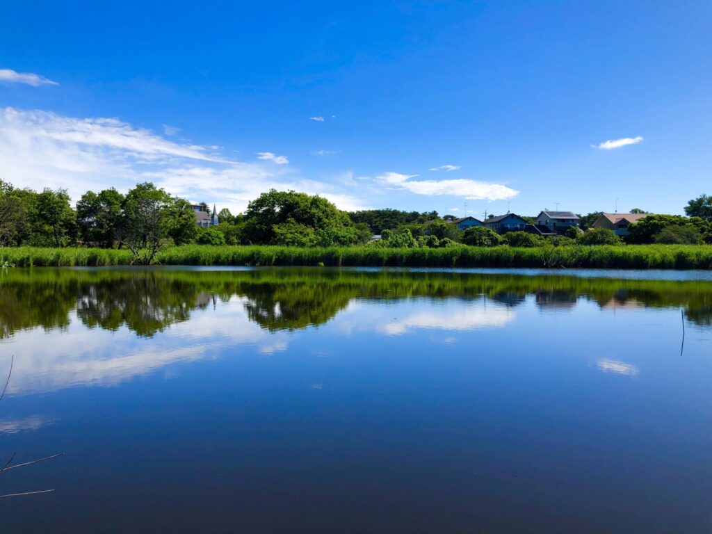Peaceful coexistence between people and nature
