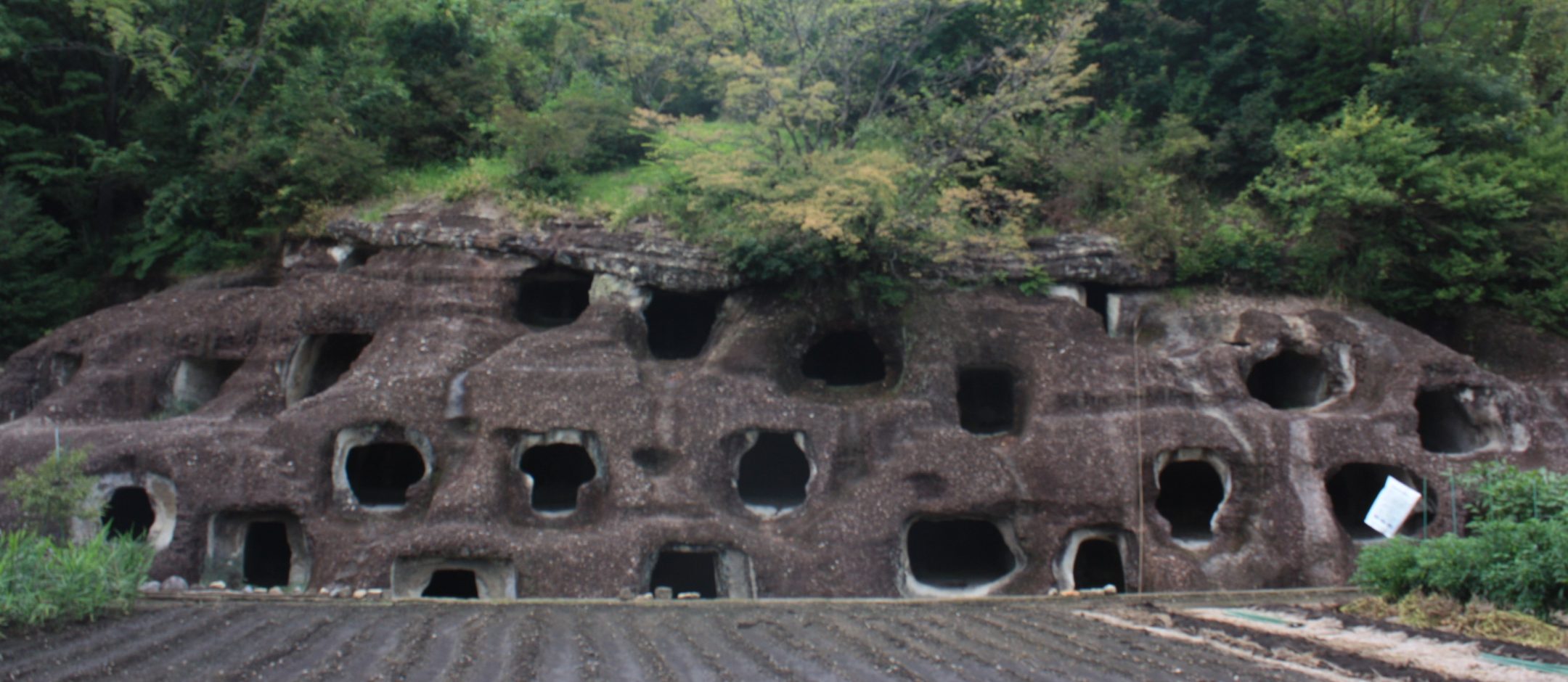 Nagaoka Hyakuana Tomb Group
