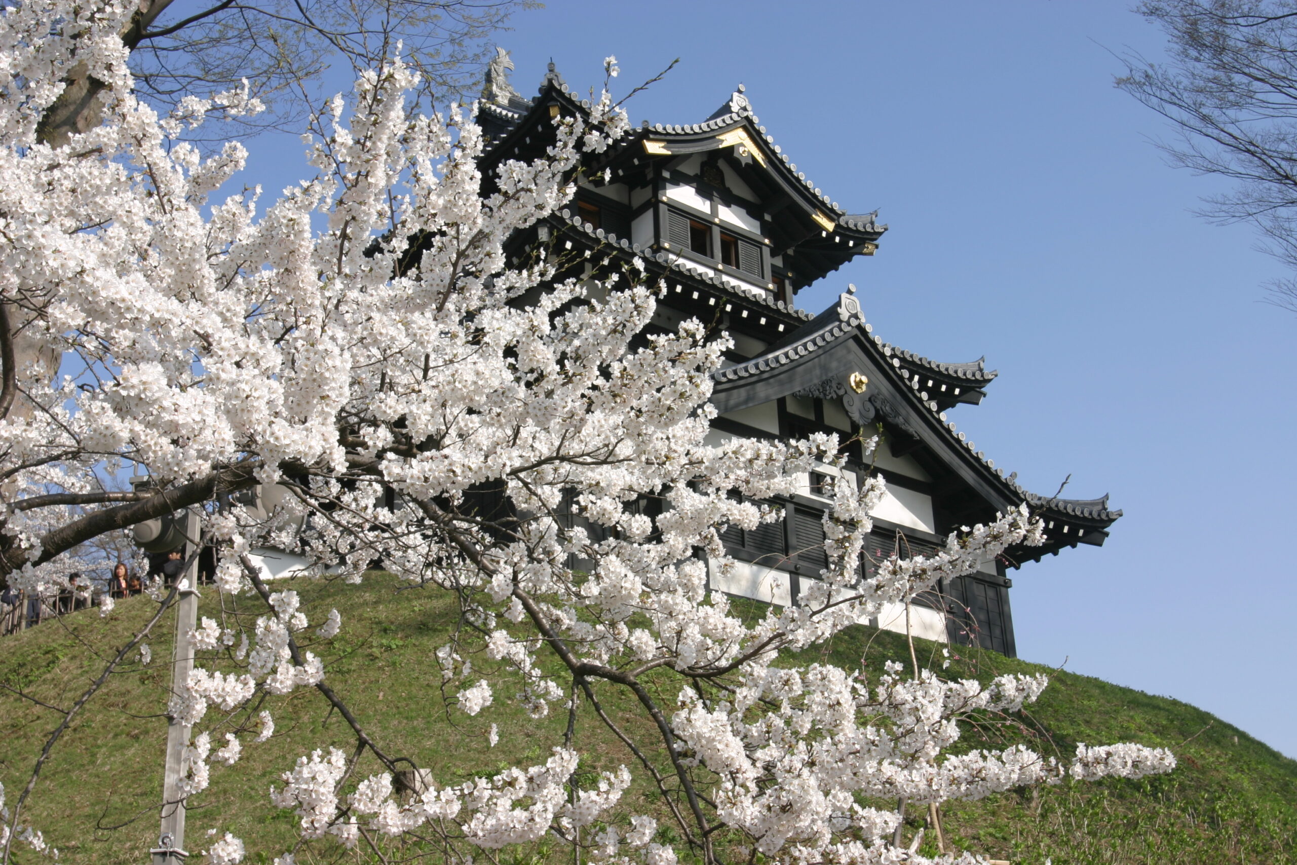 Takada Castle Site Park